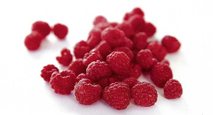 Raspberry Pie.jpg